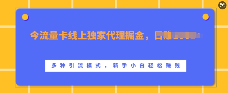 流量卡线上独家代理掘金，日入1k+ ，多种引流模式，新手小白轻松上手【揭秘】-志拓网创