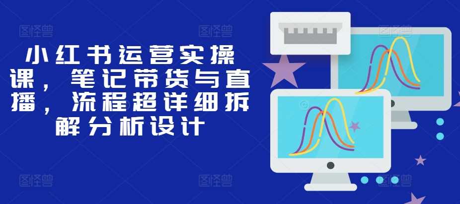 小红书运营实操课，笔记带货与直播，流程超详细拆解分析设计-志拓网创