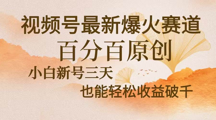 （13225期）视频号最新爆火赛道，中老年粉深信不疑，百分百原创，新号三天收益轻松…-志拓网创