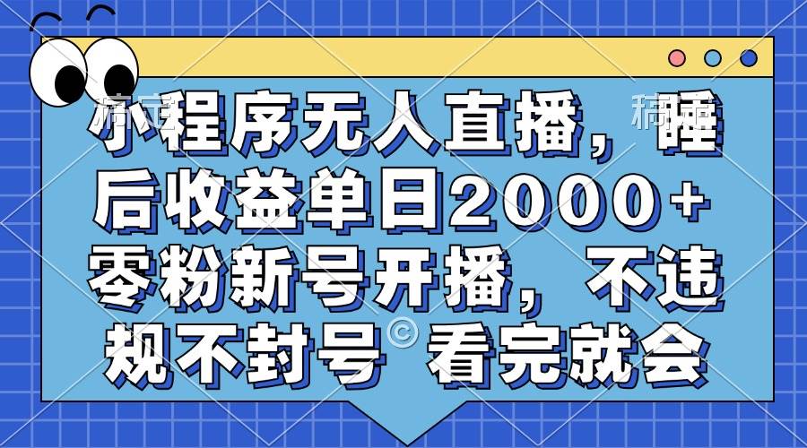 （13251期）小程序无人直播，睡后收益单日2000+ 零粉新号开播，不违规不封号 看完就会-志拓网创
