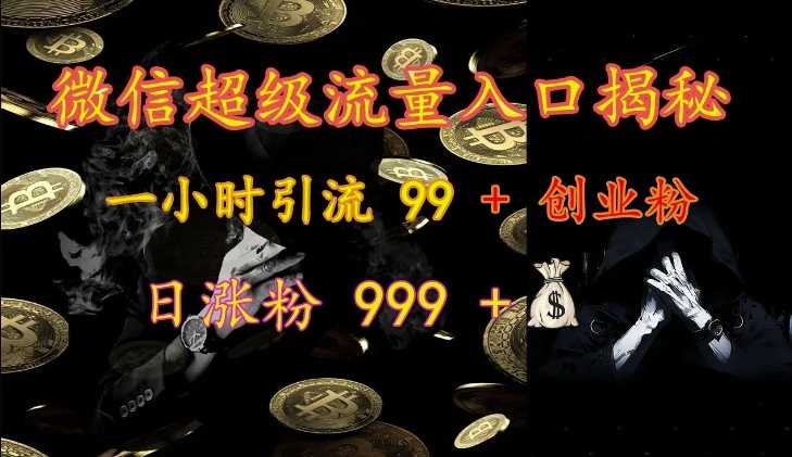 微信超级流量入口揭秘：一小时引流 99 + 创业粉，日涨粉 999 +-志拓网创