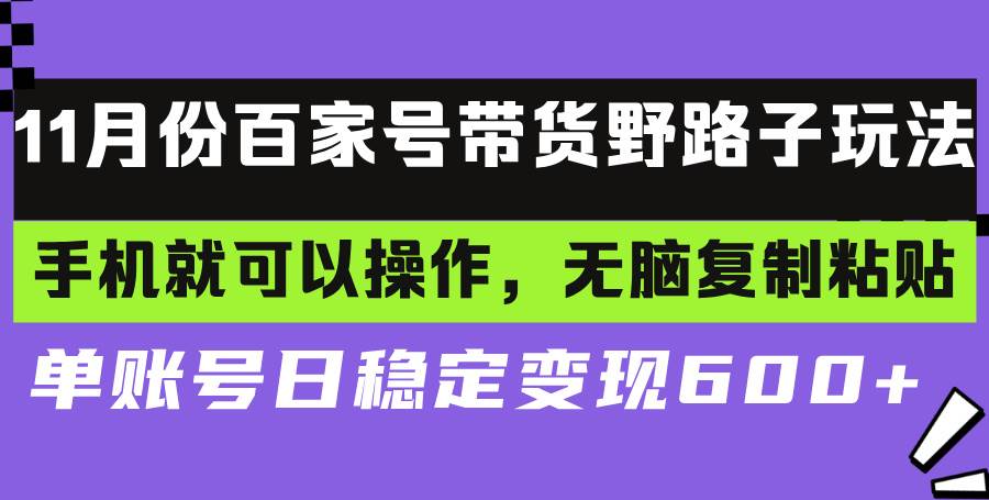 （13281期）百家号带货野路子玩法 手机就可以操作，无脑复制粘贴 单账号日稳定变现…-志拓网创
