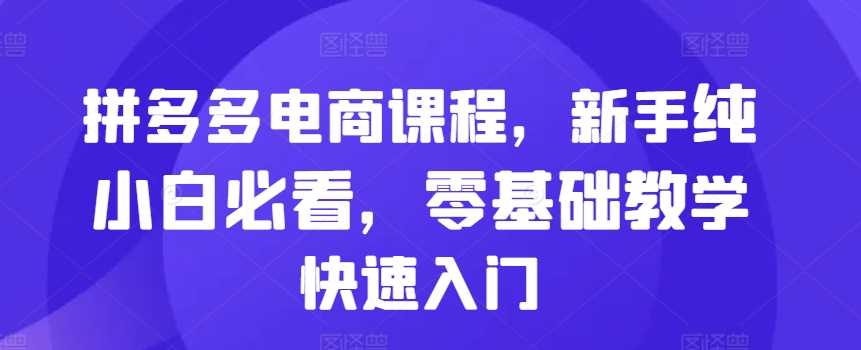 拼多多电商课程，新手纯小白必看，零基础教学快速入门-志拓网创