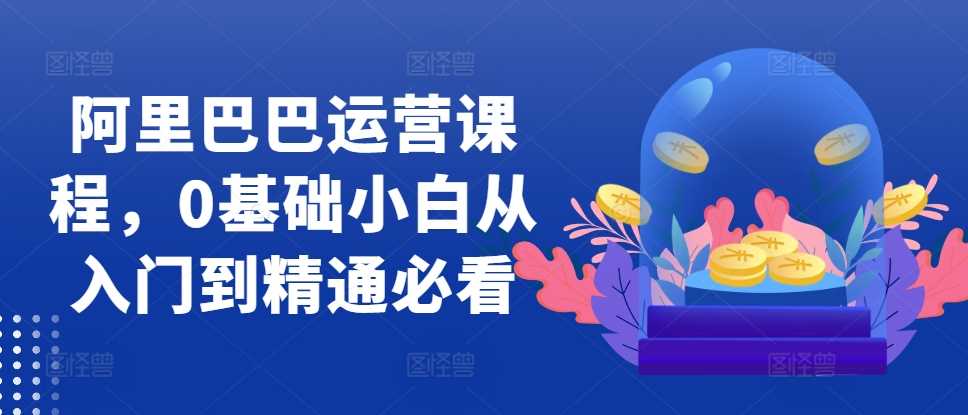 阿里巴巴运营课程，0基础小白从入门到精通必看-志拓网创