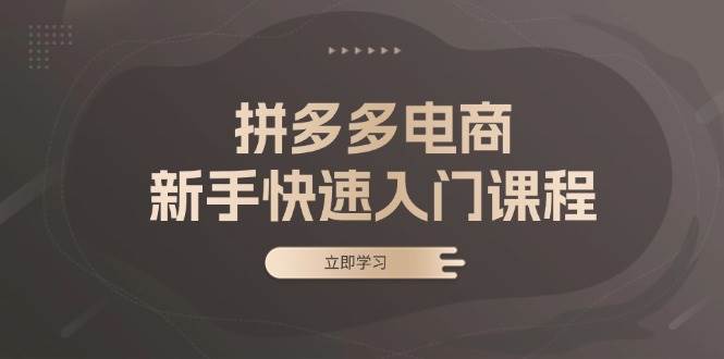（13289期）拼多多电商新手快速入门课程：涵盖基础、实战与选款，助力小白轻松上手-志拓网创