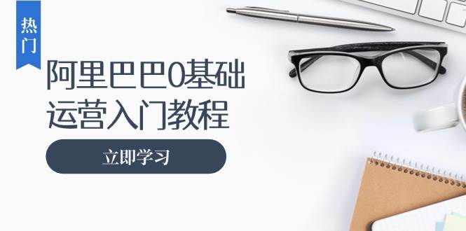 （13291期）阿里巴巴运营零基础入门教程：涵盖开店、运营、推广，快速成为电商高手-志拓网创