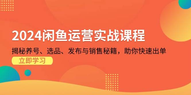 （13290期）2024闲鱼运营实战课程：揭秘养号、选品、发布与销售秘籍，助你快速出单-志拓网创