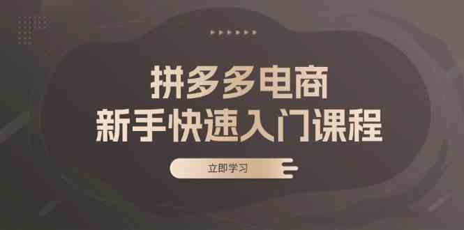 拼多多电商新手快速入门课程：涵盖基础、实战与选款，助力小白轻松上手-志拓网创