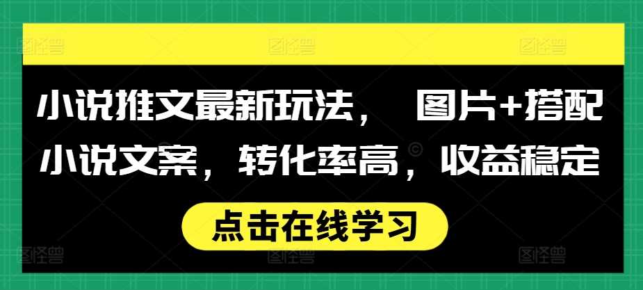 小说推文最新玩法， 图片+搭配小说文案，转化率高，收益稳定-志拓网创