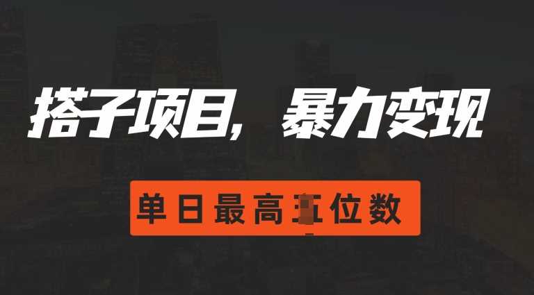 2024搭子玩法，0门槛，暴力变现，单日最高破四位数【揭秘】-志拓网创