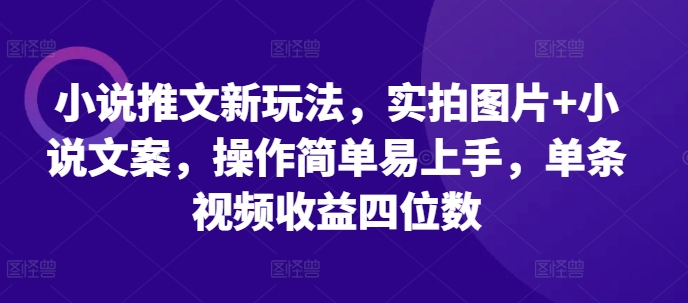 小说推文新玩法，实拍图片+小说文案，操作简单易上手，单条视频收益四位数-志拓网创