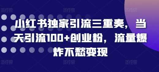 小红书独家引流三重奏，当天引流100+创业粉，流量爆炸不愁变现【揭秘】-志拓网创