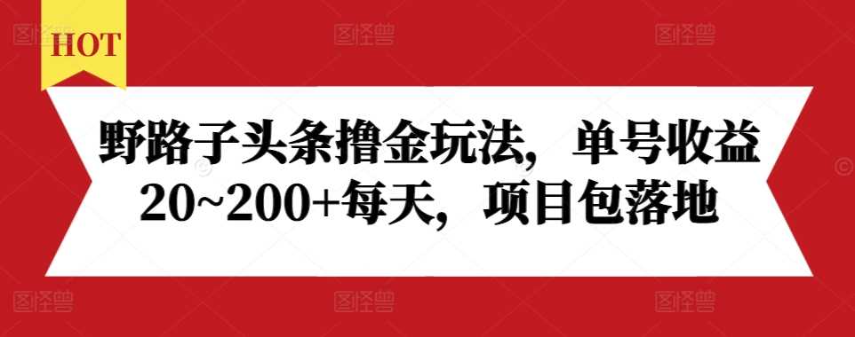 野路子头条撸金玩法，单号收益20~200+每天，项目包落地-志拓网创