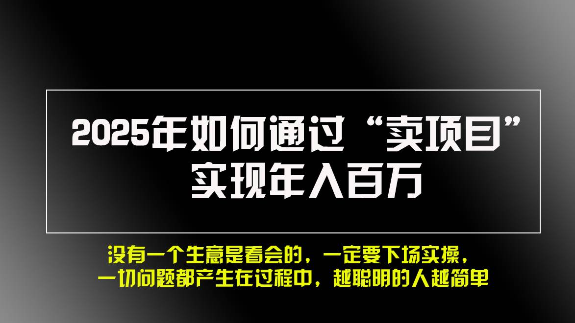 （13468期）2025年如何通过“卖项目”实现年入百万，做网赚必看！！-志拓网创