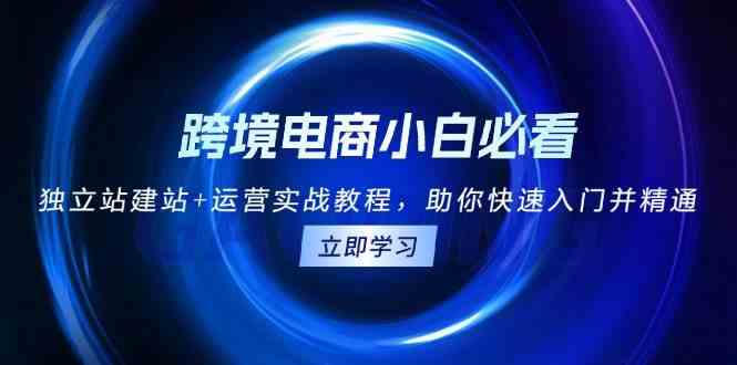 跨境电商小白必看！独立站建站+运营实战教程，助你快速入门并精通-志拓网创