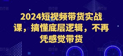 2024短视频带货实战课，搞懂底层逻辑，不再凭感觉带货-志拓网创