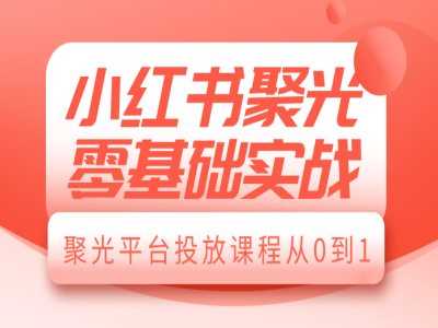 小红书聚光零基础实战，聚光平台投放课程从0到1-志拓网创