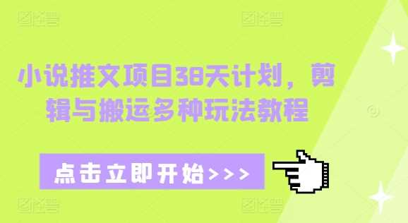 小说推文项目38天计划，剪辑与搬运多种玩法教程-志拓网创