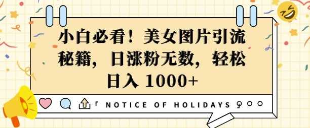 小白必看，美女图片引流秘籍，日涨粉无数，轻松日入几张【揭秘】-志拓网创
