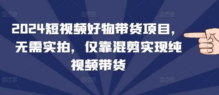 2024短视频好物带货项目，无需实拍，仅靠混剪实现纯视频带货-志拓网创