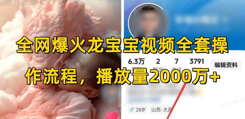 全网爆火龙宝宝视频全套操作流程，播放量2000万+-志拓网创
