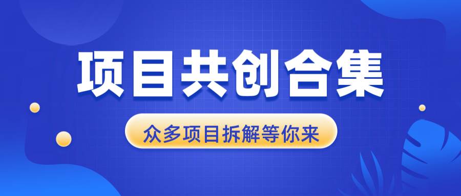 （13778期）项目共创合集，从0-1全过程拆解，让你迅速找到适合自已的项目-志拓网创