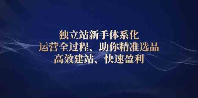 独立站新手体系化 运营全过程，助你精准选品、高效建站、快速盈利-志拓网创