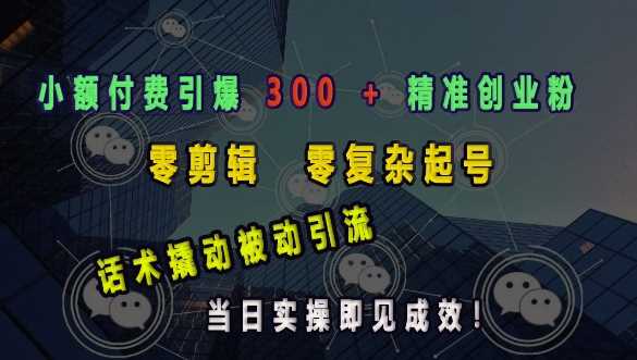小额付费引爆 300 + 精准创业粉，零剪辑、零复杂起号，话术撬动被动引流，当日实操即见成效-志拓网创