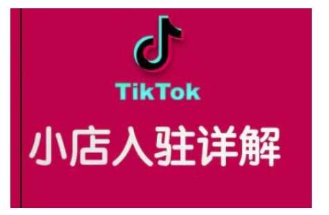 TikTok跨境小店运营全攻略，帮助你独立运营TK跨境小店的能力，实现销量增长-志拓网创
