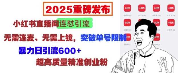 2025重磅发布：小红书直播间连怼引流，无需连麦、无需上镜，突破单号限制，暴力日引流600+-志拓网创