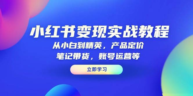 （13923期）小红书变现实战教程：从小白到精英，产品定价，笔记带货，账号运营等-志拓网创