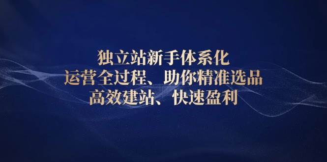 （13914期）独立站新手体系化 运营全过程，助你精准选品、高效建站、快速盈利-志拓网创