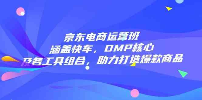 京东电商运营班：涵盖快车，DMP核心及各工具组合，助力打造爆款商品-志拓网创