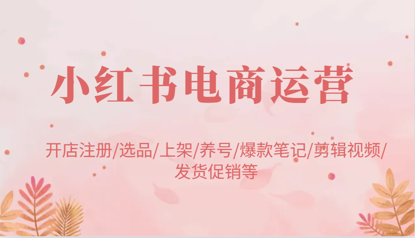 小红书电商运营：开店注册/选品/上架/养号/爆款笔记/剪辑视频/发货促销等-志拓网创