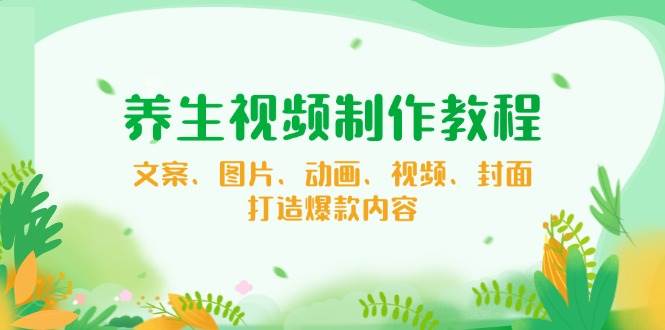 养生视频制作教程，文案、图片、动画、视频、封面，打造爆款内容-志拓网创