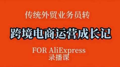 跨境电商速卖通运营课，​运营方法论+后台实操，逻辑清晰-志拓网创