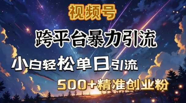 跨平台暴力引流，私域完美闭环，日引500+精准创业粉-志拓网创