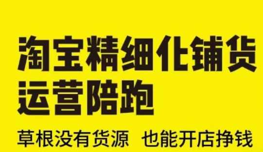 淘宝精细化铺货运营陪跑(部分更新至2025)，草根没有货源 也能开店挣钱-志拓网创