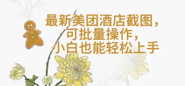 【轻云】最新美团酒店截图，可批量操作，小白也能轻松上手-志拓网创