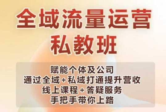 全域流量运营操盘课，赋能个体及公司通过全域+私域打通提升营收-志拓网创