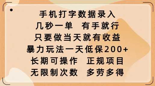 手机打字数据录入，几秒一单，有手就行，只要做当天就有收益，暴力玩法一天低保2张-志拓网创
