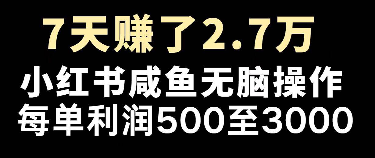 （14183期）最赚钱项目之一，2025爆火，逆风翻盘！-志拓网创