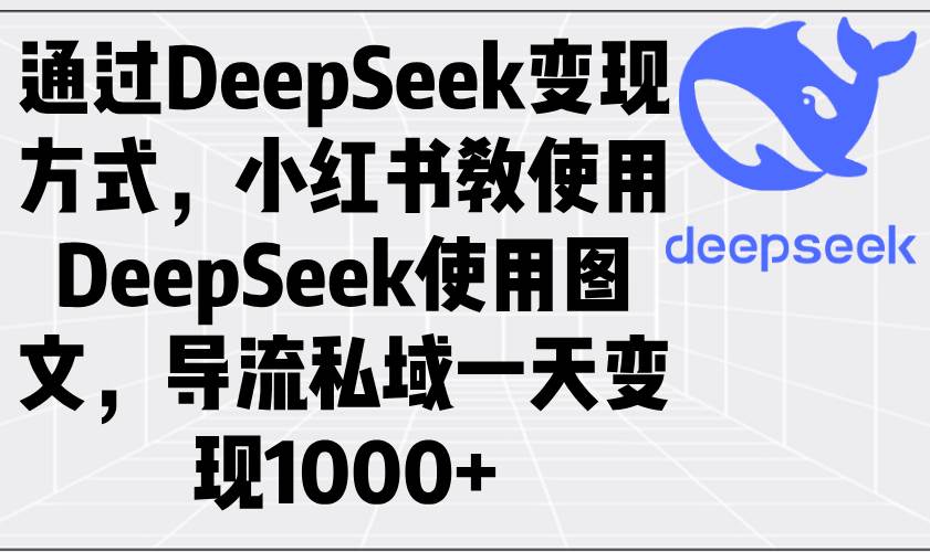 （14179期）通过DeepSeek变现方式，小红书教使用DeepSeek图文，导流私域一天变现1000+-志拓网创