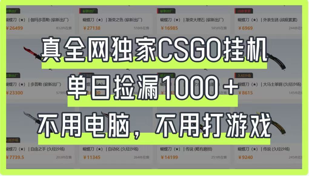 真全网独家CSGO挂机，单日捡漏1000+，不用电脑，不用养号-志拓网创