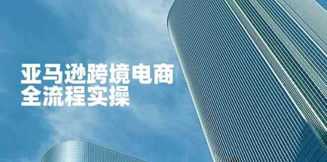 亚马逊跨境电商全流程实操，教你从零开始，掌握店铺运营与广告技巧-志拓网创