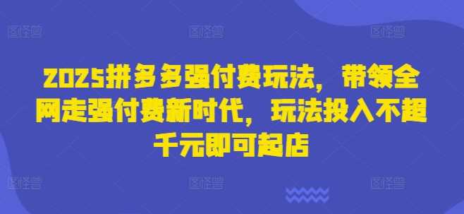 2025拼多多强付费玩法，带领全网走强付费新时代，玩法投入不超千元即可起店-志拓网创
