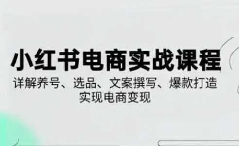 小红书从0-1实操课(2023-2025)，详解养号、选品、文案撰写、爆款打造实现电商变现-志拓网创