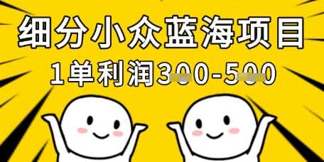 细分小众蓝海项目，一单利润3张，每月收入稳定过1w+-志拓网创