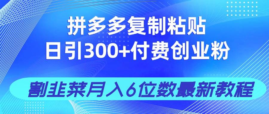 （14232期）拼多多复制粘贴日引300+付费创业粉，割韭菜月入6位数最新教程！-志拓网创