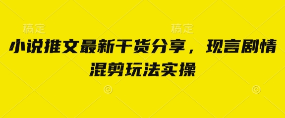 小说推文最新干货分享，现言剧情混剪玩法实操-志拓网创